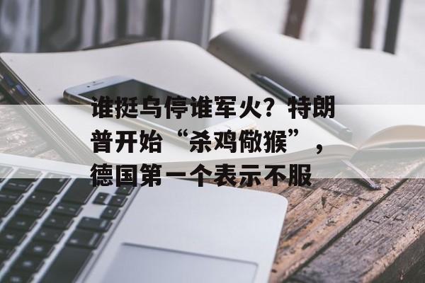 谁挺乌停谁军火？特朗普开始“杀鸡儆猴”，德国第一个表示不服-第1张图片-