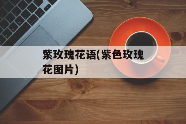 紫玫瑰花语(紫色玫瑰花图片)-第1张图片-