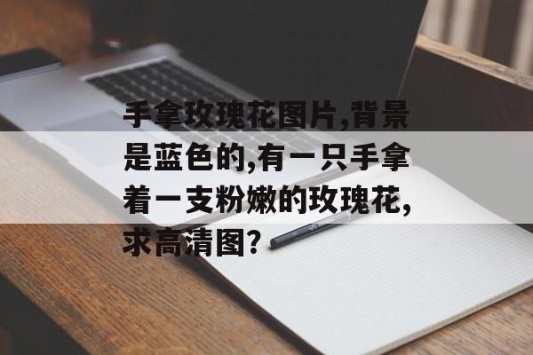 手拿玫瑰花图片,背景是蓝色的,有一只手拿着一支粉嫩的玫瑰花,求高清图？-第1张图片-