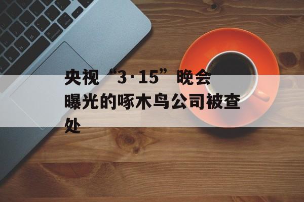央视“3·15”晚会曝光的啄木鸟公司被查处-第1张图片-