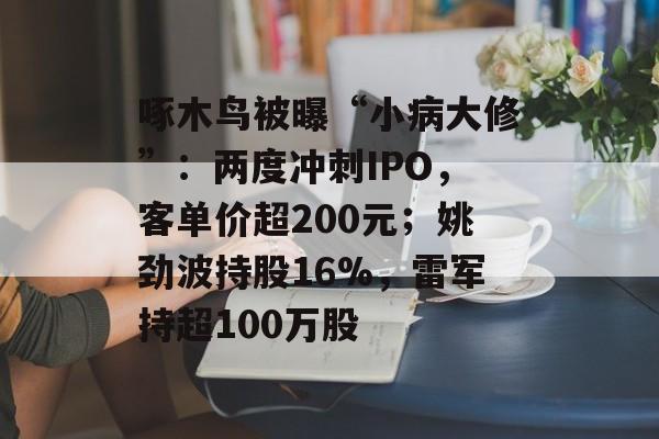 啄木鸟被曝“小病大修”：两度冲刺IPO，客单价超200元；姚劲波持股16%，雷军持超100万股-第1张图片-