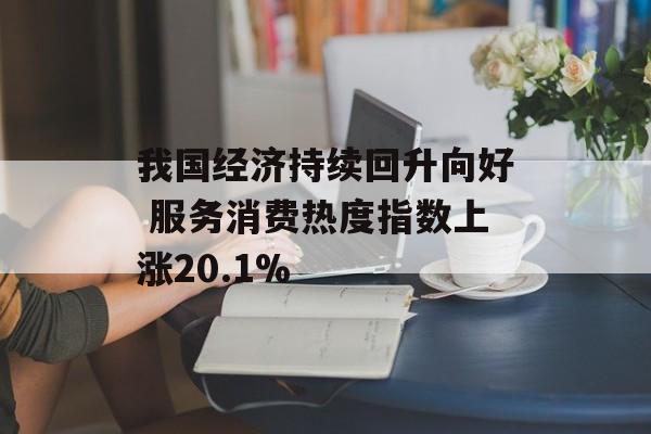 我国经济持续回升向好 服务消费热度指数上涨20.1%-第1张图片-