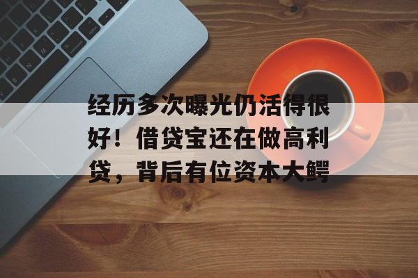 经历多次曝光仍活得很好！借贷宝还在做高利贷，背后有位资本大鳄-第1张图片-