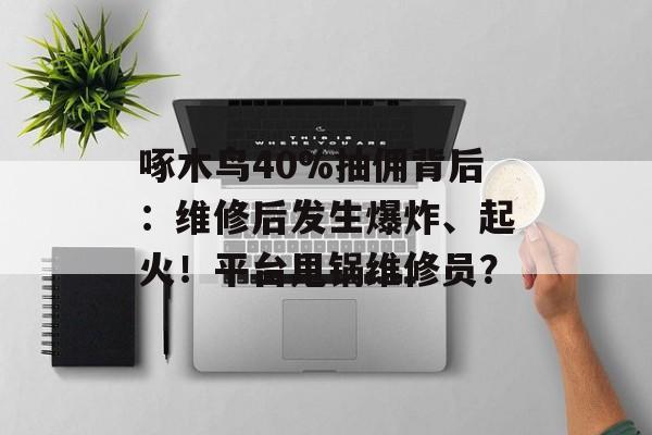 啄木鸟40%抽佣背后：维修后发生爆炸、起火！平台甩锅维修员？-第1张图片-