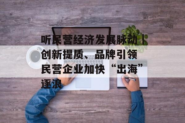 听民营经济发展脉动｜创新提质、品牌引领 民营企业加快“出海”逐浪-第1张图片-
