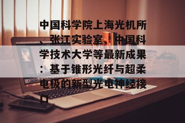 中国科学院上海光机所、张江实验室、中国科学技术大学等最新成果：基于锥形光纤与超柔电极的新型光电神经接口-第1张图片-