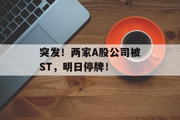 突发！两家A股公司被ST，明日停牌！-第1张图片-