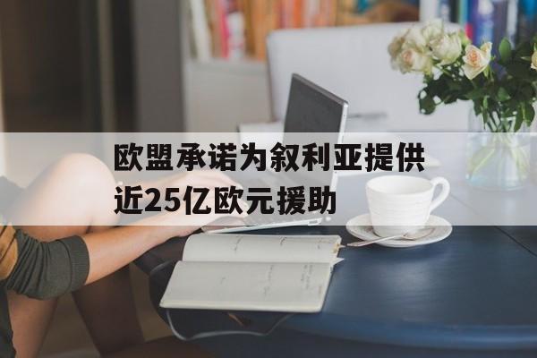 欧盟承诺为叙利亚提供近25亿欧元援助-第1张图片-