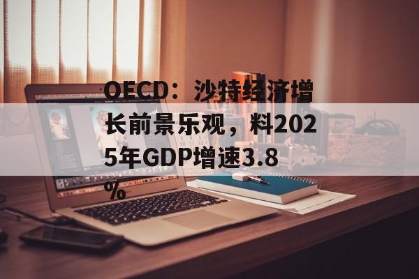 OECD：沙特经济增长前景乐观，料2025年GDP增速3.8%-第1张图片-