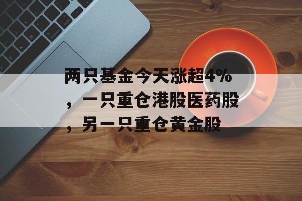 两只基金今天涨超4%，一只重仓港股医药股，另一只重仓黄金股-第1张图片-