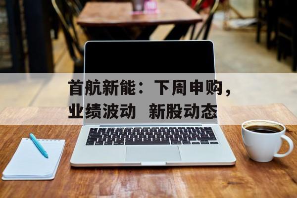 首航新能：下周申购，业绩波动  新股动态-第1张图片-