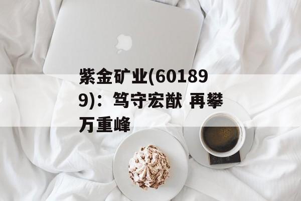 紫金矿业(601899):笃守宏猷 再攀万重峰-第1张图片- 紫金矿业(601899):笃守宏猷 再攀万重峰-第1张图片-