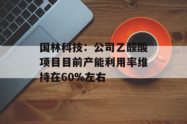 国林科技：公司乙醛酸项目目前产能利用率维持在60%左右-第1张图片-