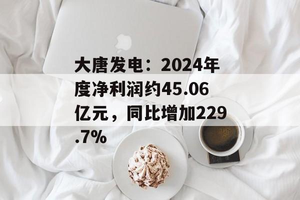 大唐发电：2024年度净利润约45.06亿元，同比增加229.7%-第1张图片-