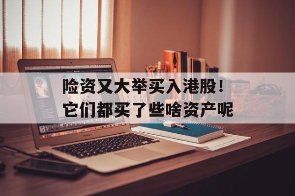 险资又大举买入港股！它们都买了些啥资产呢-第1张图片-