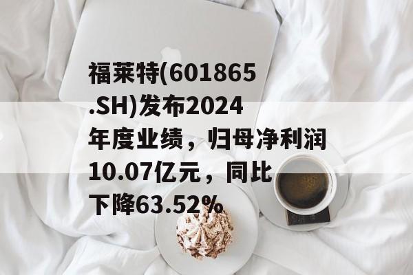 福莱特(601865.SH)发布2024年度业绩，归母净利润10.07亿元，同比下降63.52%-第1张图片-