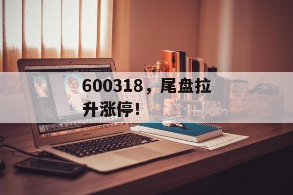 600318，尾盘拉升涨停！-第1张图片-