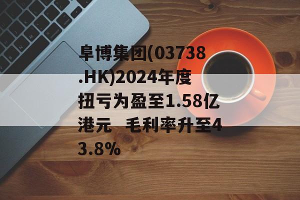 阜博集团(03738.HK)2024年度扭亏为盈至1.58亿港元  毛利率升至43.8%-第1张图片-
