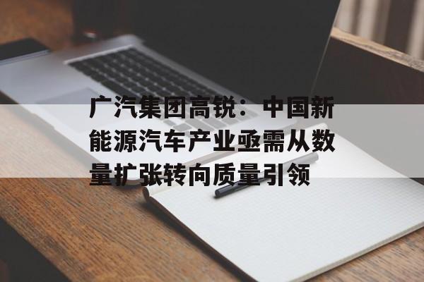 广汽集团高锐：中国新能源汽车产业亟需从数量扩张转向质量引领-第1张图片-