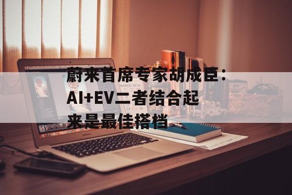 蔚来首席专家胡成臣：AI+EV二者结合起来是最佳搭档-第1张图片-