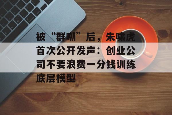 被“群嘲”后，朱啸虎首次公开发声：创业公司不要浪费一分钱训练底层模型-第1张图片-