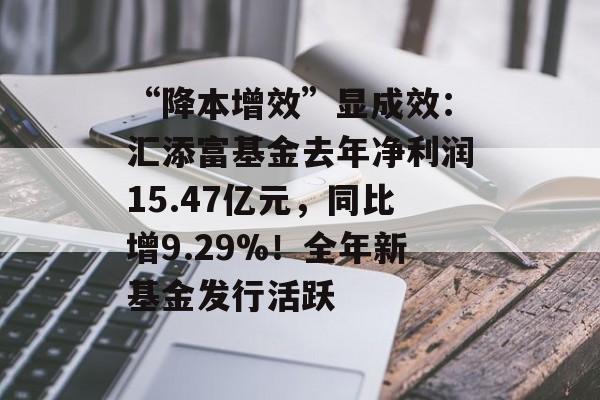 “降本增效”显成效：汇添富基金去年净利润15.47亿元，同比增9.29%！全年新基金发行活跃-第1张图片-