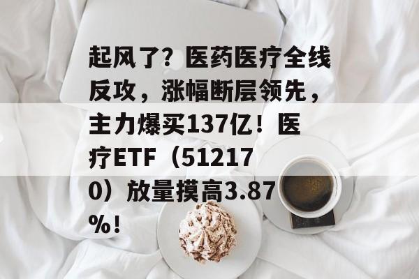 起风了？医药医疗全线反攻，涨幅断层领先，主力爆买137亿！医疗ETF（512170）放量摸高3.87%！-第1张图片-