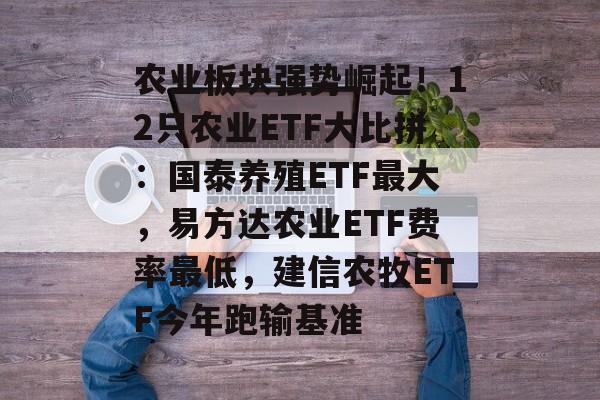 农业板块强势崛起！12只农业ETF大比拼：国泰养殖ETF最大，易方达农业ETF费率最低，建信农牧ETF今年跑输基准-第1张图片-