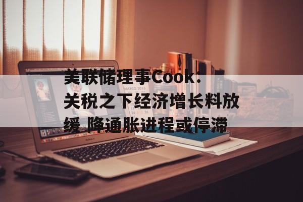 美联储理事Cook：关税之下经济增长料放缓 降通胀进程或停滞-第1张图片-