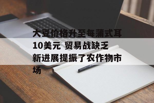 大豆价格升至每蒲式耳10美元 贸易战缺乏新进展提振了农作物市场-第1张图片-