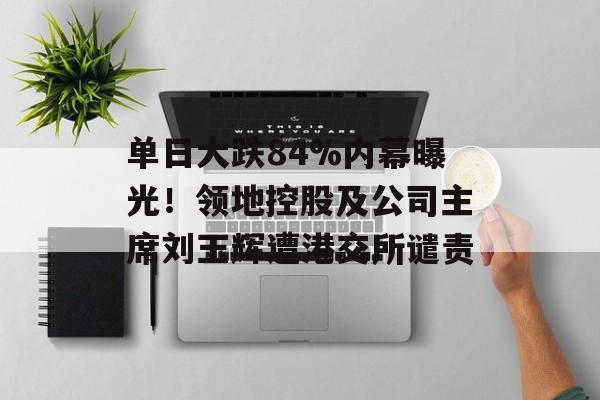 单日大跌84%内幕曝光！领地控股及公司主席刘玉辉遭港交所谴责-第1张图片-