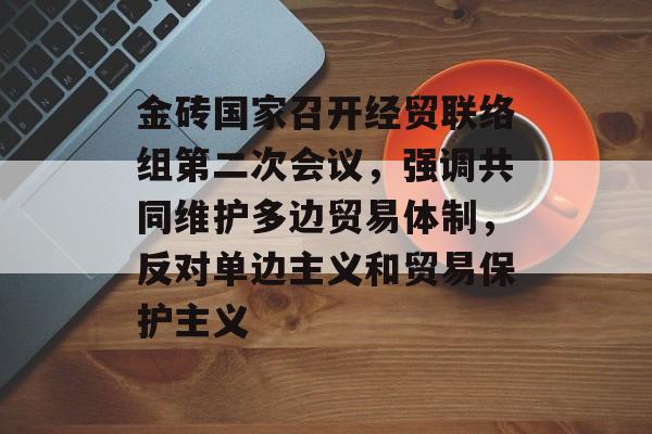 金砖国家召开经贸联络组第二次会议，强调共同维护多边贸易体制，反对单边主义和贸易保护主义-第1张图片-