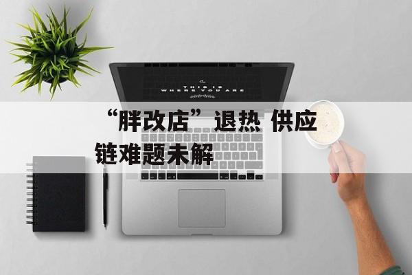 “胖改店”退热 供应链难题未解-第1张图片-