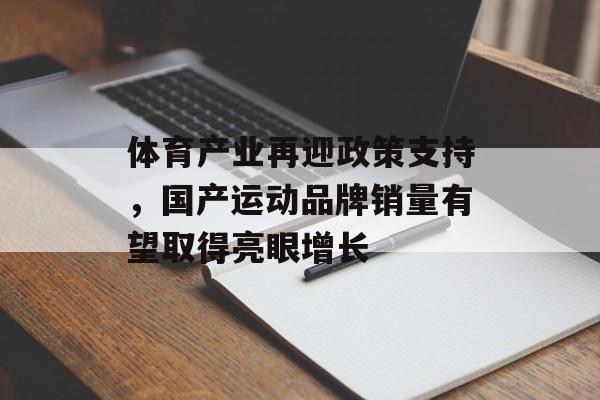 体育产业再迎政策支持，国产运动品牌销量有望取得亮眼增长-第1张图片-