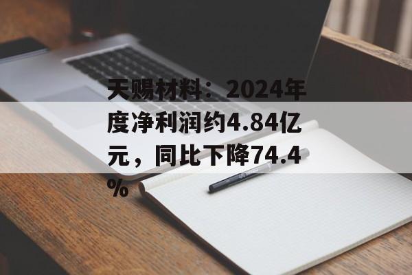 天赐材料：2024年度净利润约4.84亿元，同比下降74.4%-第1张图片-
