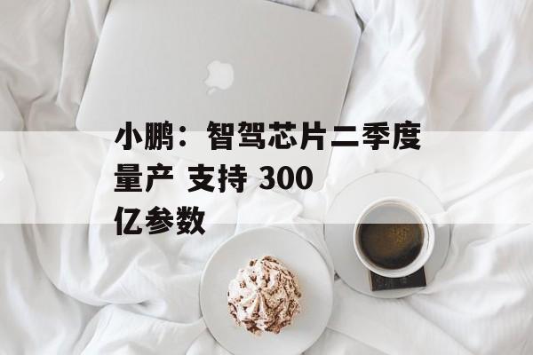 小鹏：智驾芯片二季度量产 支持 300 亿参数-第1张图片-