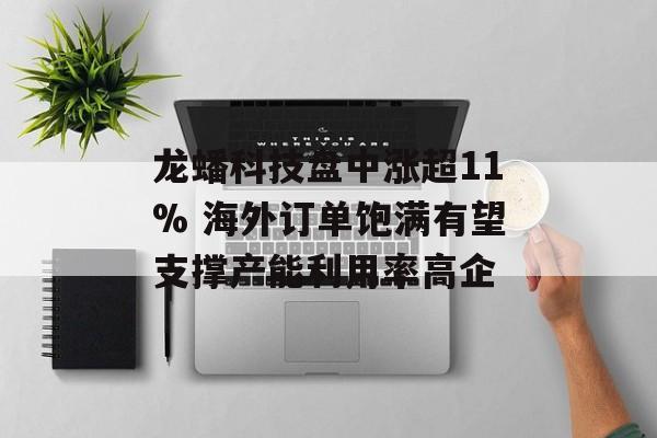 龙蟠科技盘中涨超11% 海外订单饱满有望支撑产能利用率高企-第1张图片-