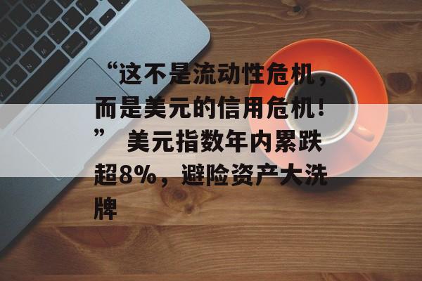 “这不是流动性危机，而是美元的信用危机！” 美元指数年内累跌超8%，避险资产大洗牌-第1张图片-