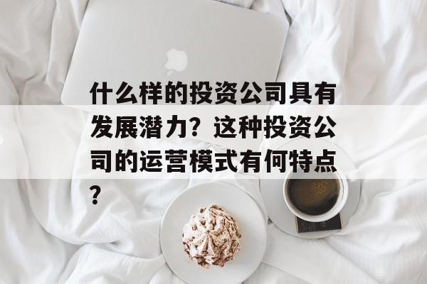 什么样的投资公司具有发展潜力？这种投资公司的运营模式有何特点？-第1张图片-