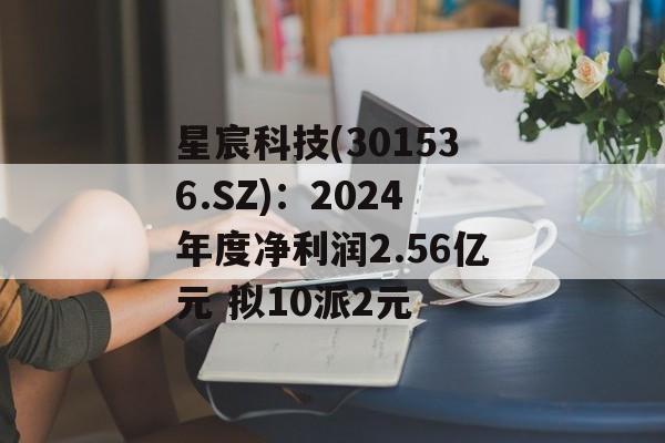 星宸科技(301536.SZ)：2024年度净利润2.56亿元 拟10派2元-第1张图片-
