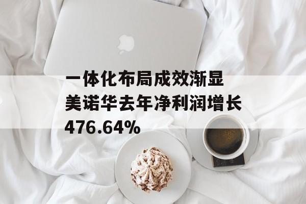 一体化布局成效渐显 美诺华去年净利润增长476.64%-第1张图片-