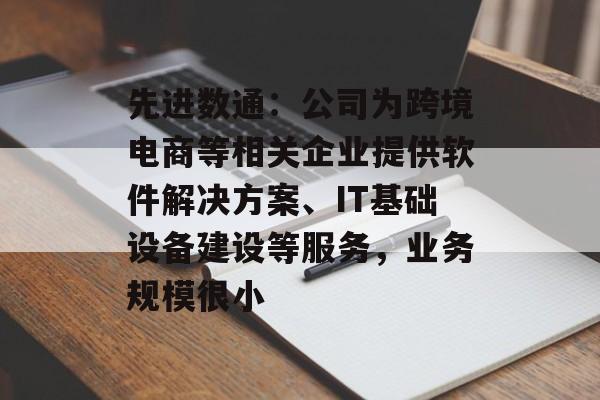 先进数通：公司为跨境电商等相关企业提供软件解决方案、IT基础设备建设等服务，业务规模很小-第1张图片-