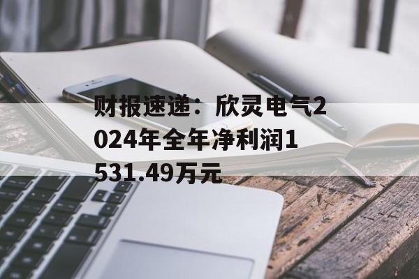 财报速递：欣灵电气2024年全年净利润1531.49万元-第1张图片-