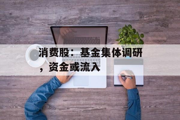 消费股：基金集体调研，资金或流入-第1张图片-