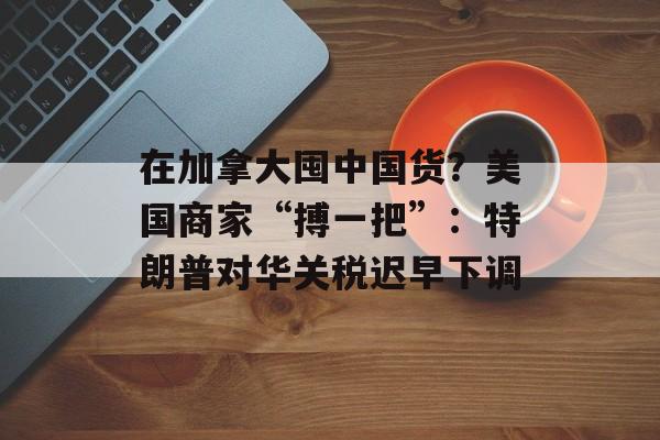 在加拿大囤中国货？美国商家“搏一把”：特朗普对华关税迟早下调-第1张图片-