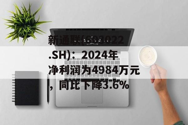 新通联(603022.SH)：2024年净利润为4984万元，同比下降3.6%-第1张图片-