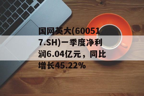 国网英大(600517.SH)一季度净利润6.04亿元，同比增长45.22%-第1张图片-