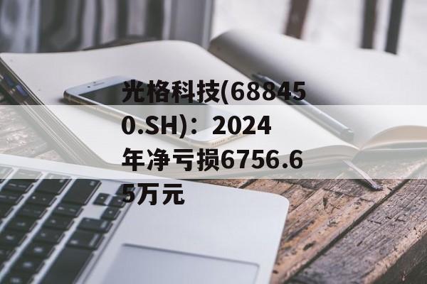 光格科技(688450.SH)：2024年净亏损6756.65万元-第1张图片-