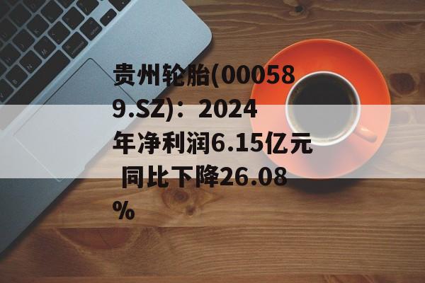 贵州轮胎(000589.SZ)：2024年净利润6.15亿元 同比下降26.08%-第1张图片-