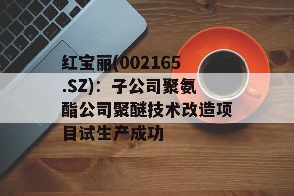 红宝丽(002165.SZ)：子公司聚氨酯公司聚醚技术改造项目试生产成功-第1张图片-